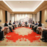 谢卫江会见吉利控股集团首席政府事务官沈珺一行