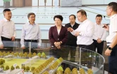 吴桂英率队赴邵阳开展执法检查