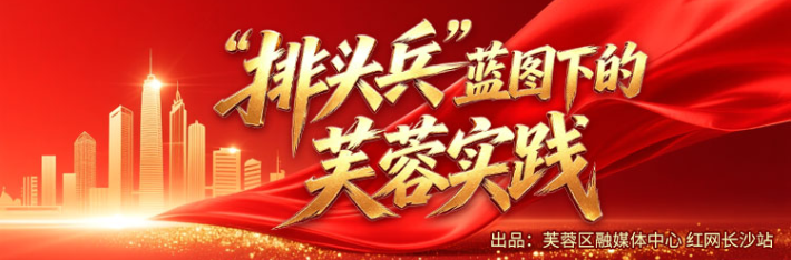 专题 | “排头兵”蓝图下的芙蓉实践