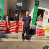 安乡陈家嘴镇:桑梓献爱传温情 情暖家园促振兴