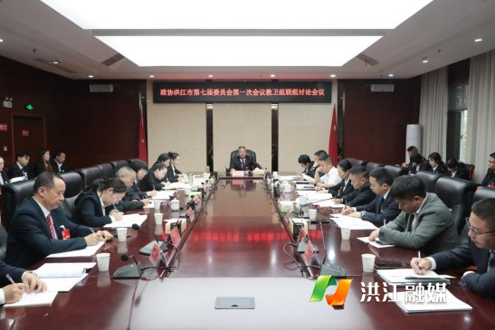 【聚焦两会】夏向阳参加政协洪江市第七届委员会第一次会议教卫、党群组联组讨论
