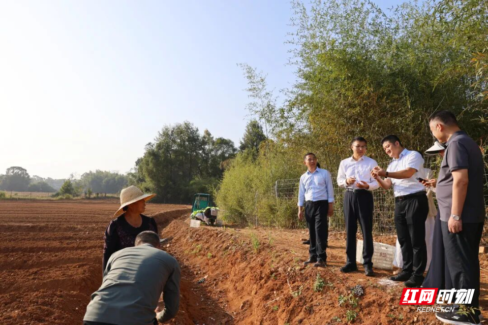 茶山坳镇调研.jpg