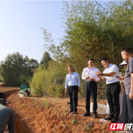 珠晖区委主要领导赴茶山坳镇调研乡村振兴工作