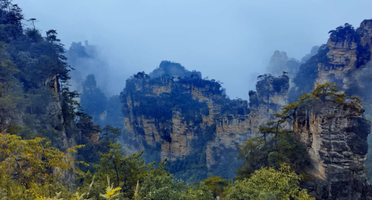 张家界：峰墙叠翠染秋山 云海漫卷杨家界