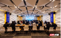 让创新“种子”遇见资本“活水”,望城经开区种子基金启动首场立项评审路演