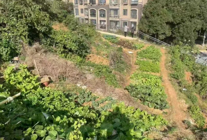 唤醒闲置 “边角地” 停出民生幸福感