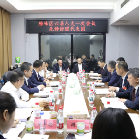 李雄参加雁峰区六届人大一次会议先锋街道、黄茶岭街道代表团分组讨论