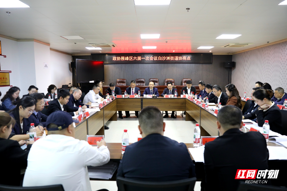 10.22魏春生参加政协雁峰区六届一次会议白沙洲街道协商组讨论.jpg