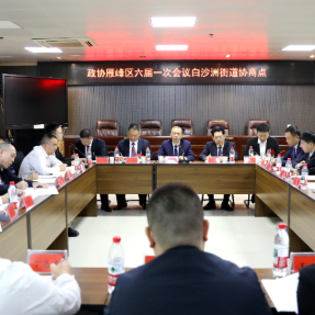 魏春生参加政协雁峰区六届一次会议白沙洲街道协商组讨论