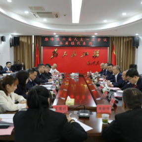 魏春生参加雁峰区六届人大一次会议岳屏镇、金龙坪街道代表团分组讨论