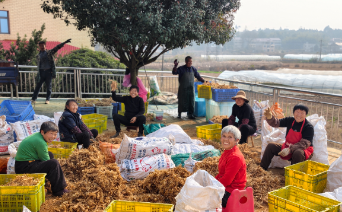南国药都邵东廉桥:药香润泽,百姓何以增收