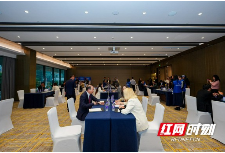 面对面 “相亲”！湖南智造牵手德国制造，这场对接聊出不少实在意向