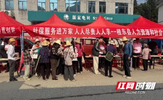 桂东县：社保政策赶大集 服务暖心进乡镇