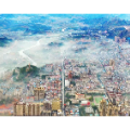 寻味嘉禾① | 有“流量”更有“留量”
