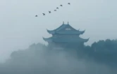 “谭”谈健康｜霜降：霜落秋将尽，秋冬过渡养生重在“敛”与“补”