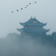 “谭”谈健康|霜降:霜落秋将尽,秋冬过渡养生重在“敛”与“补”