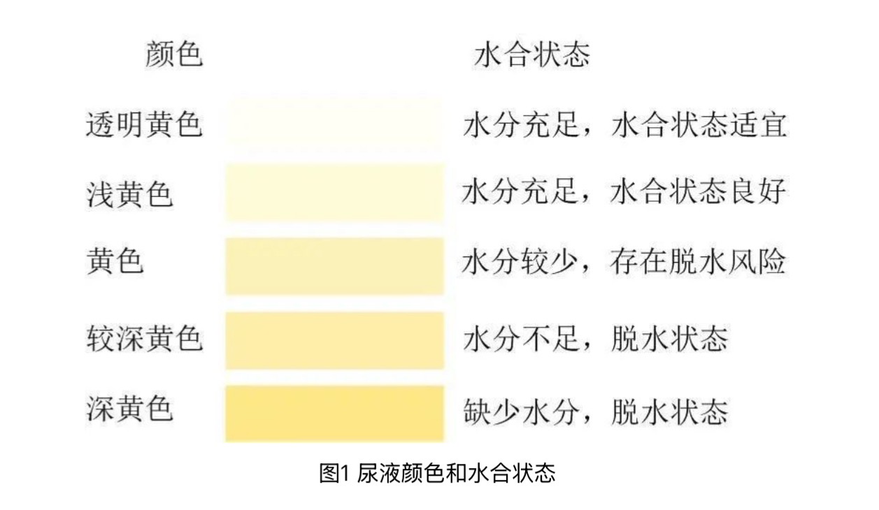 图片来源:中国居民膳食指南2022