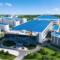 数亿元投资自建！丽尔曼顿10万㎡超级工厂正式竣工