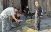 古丈县岩头寨镇：多措并举抓实秸秆禁限烧 扎实推进秸秆离田工作