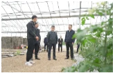 罗立峰一行到金盆镇调研育秧大棚综合利用暨规范农垦国有土地管理工作