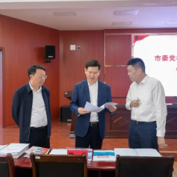 阚保勇专题调研组织工作