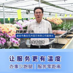营商环境大家谈｜台商刘咏宸：反哺家乡投资蝴蝶兰，见证娄底营商环境从“企业找部门”到“政府送服务”