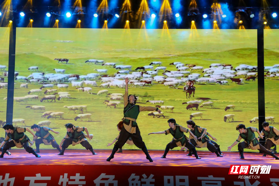 图片14.png