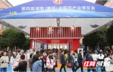 时刻观察｜一座小镇的五座“桥”——邵东廉桥的药香密码