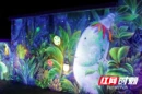 南县五色谱⑤丨满墙斑斓，撞出乡村新浪漫
