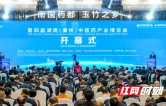 第四届湖南（廉桥）中医药产业博览会在邵东开幕