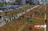 湘西州溶江小学亲子共育种植园开园