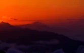  桑梓草木承风骨，山河初心照故乡
 ——赏析未名湖词作《马桑树的故乡》
