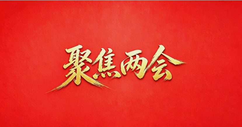 聚焦两会 | 邓生华、彭景参加人大代表分组审议