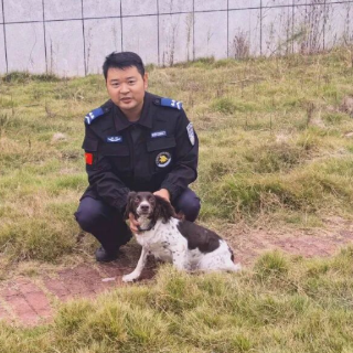 3小时山林搜救 警犬"元宝"找到失联74岁老人