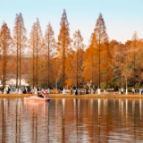 冷空气马上到!湖南秋假带娃去哪儿?这5条线路值得存