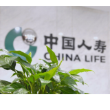 中国人寿获“金骏马奖·长青价值奖” 以长期资本定力书写价值投资答卷