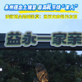 视频丨永州摆出土猪宴 最高礼节待“家人” 