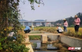 衡山县种粮大户参与高标准农田“先建后补”项目见实效