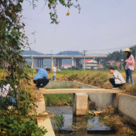 衡山县种粮大户参与高标准农田“先建后补”项目见实效