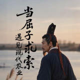 AI 视频丨屈原归来，在屈原管理区田间找到千年之问的答案