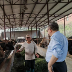 从“一株草”到“一块肉” 国家牧草产业技术体系专家赴衡阳探寻产业增值新路径