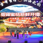 以桔为媒赴山海 农文旅融合促振兴——2026年雪峰蜜桔农文旅推广活动启动