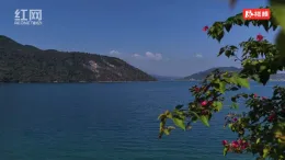 资兴市滁口镇：梅香蝶舞绘画卷