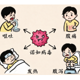 深秋诺如病毒高发 长沙泰和医院专家提醒：酒精杀不死，防范记住这几招