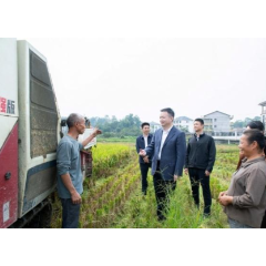 何朝晖到新化县调研“三农”工作:牢牢守住不发生规模性返贫致贫底线 全方位夯实粮食安全根基