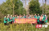 湖南新宁：清除“一枝黄花”守护湿地“芳华”