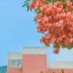 长沙校花，惊艳！