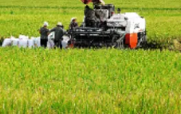 国产粮机驶入“智”变赛道