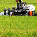 国产粮机驶入“智”变赛道