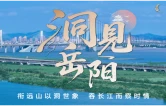 洞见岳阳丨打一场“清剿”加拿大一枝黄花的人民战争